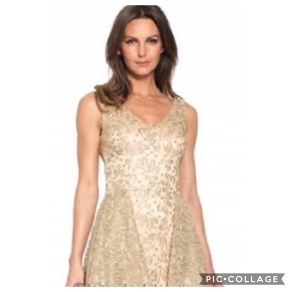 David Meister limited V-Neck sleeveless gold long gown - Picture 2 of 8